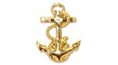 lapel pin