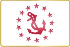 flag pin